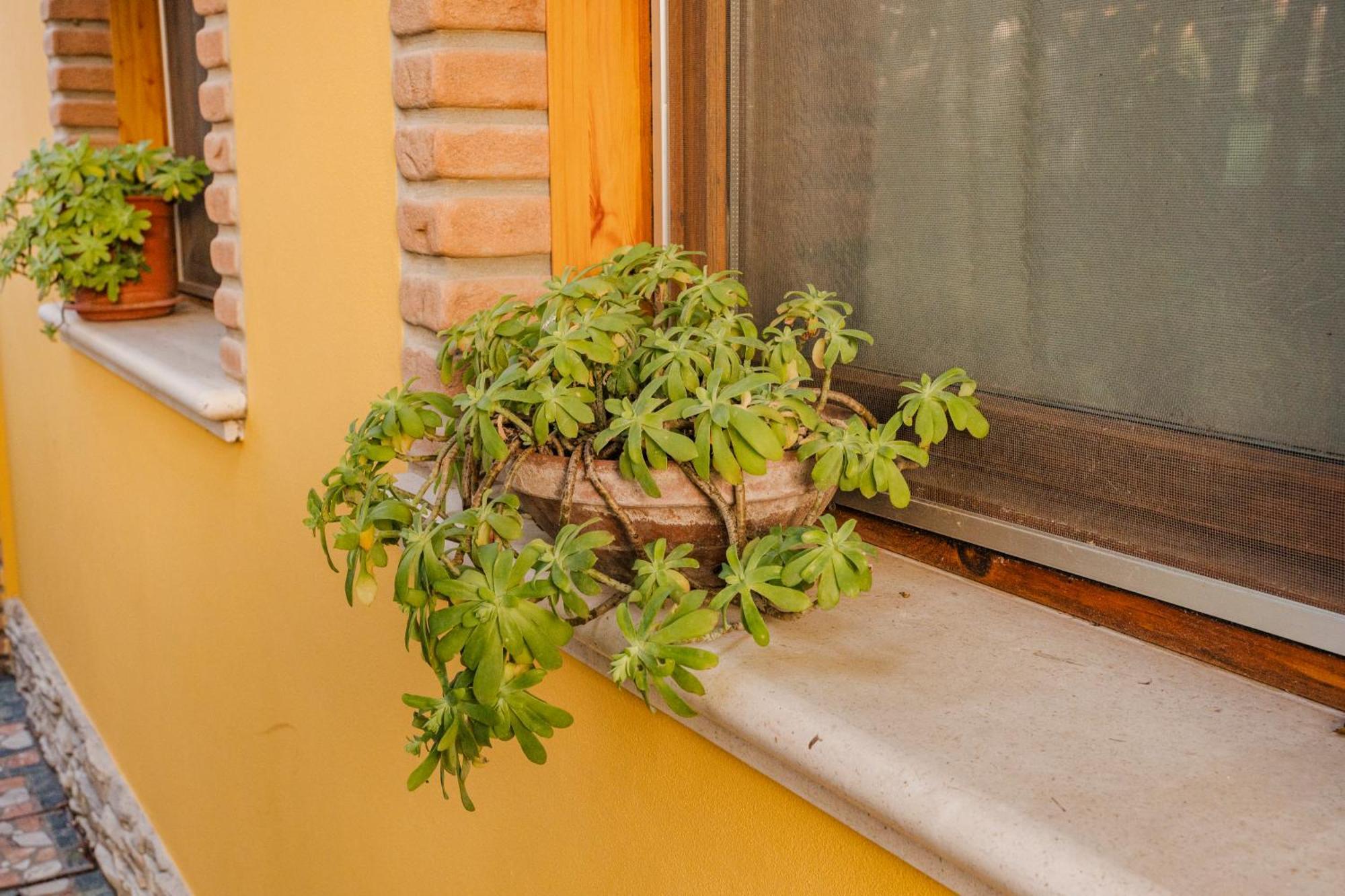 La Loggia Bed and Breakfast Comacchio Buitenkant foto